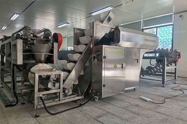 我司是河南土豆粉91香蕉视频免费下载厂家