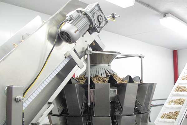 智能化全自动坚果91香蕉视频免费下载厂家