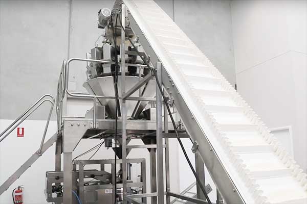 我司是河南土豆粉91香蕉视频免费下载厂家