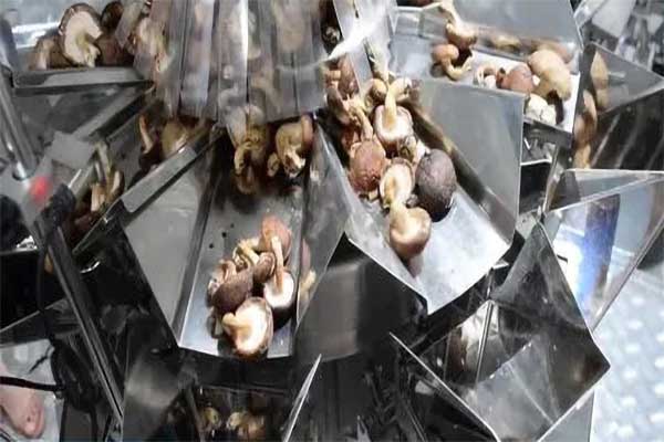 木耳香菇食用菌脱水蔬菜91香蕉视频免费下载