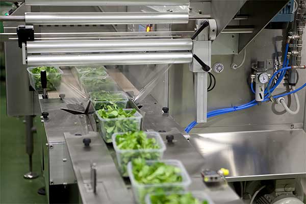 瓜果蔬菜全自动脱水蔬菜91香蕉视频免费下载