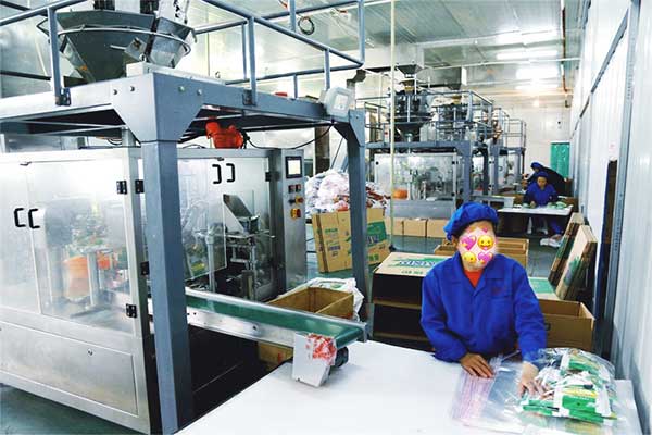 给袋式颗粒全自动91香蕉视频免费下载厂家